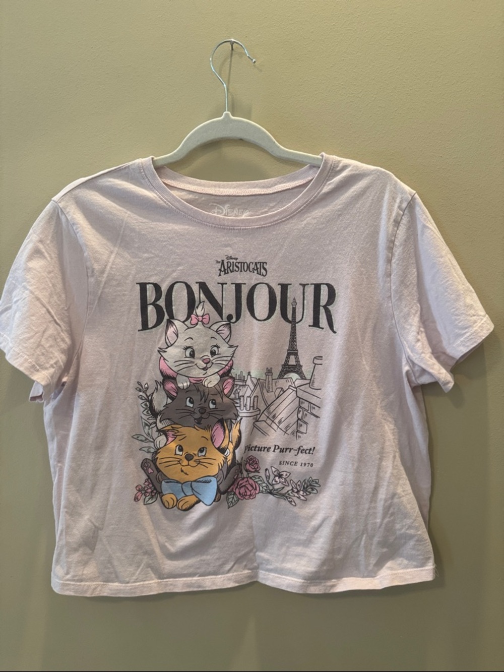 EUC Pink The Aristocats 'Bonjour' Graphic Tee - Junior XL